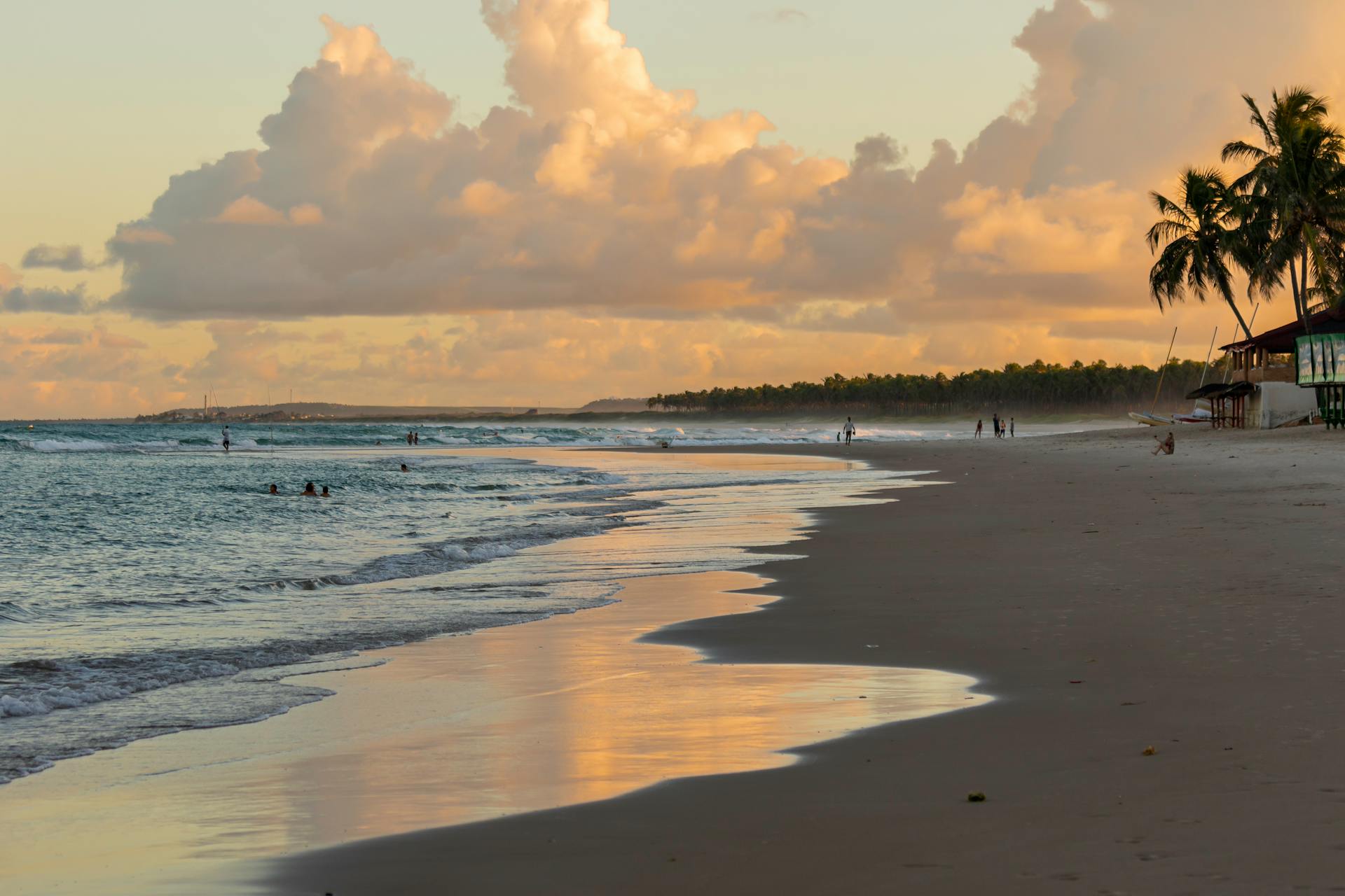 Una playa al atardecer | Fuente: Pexels