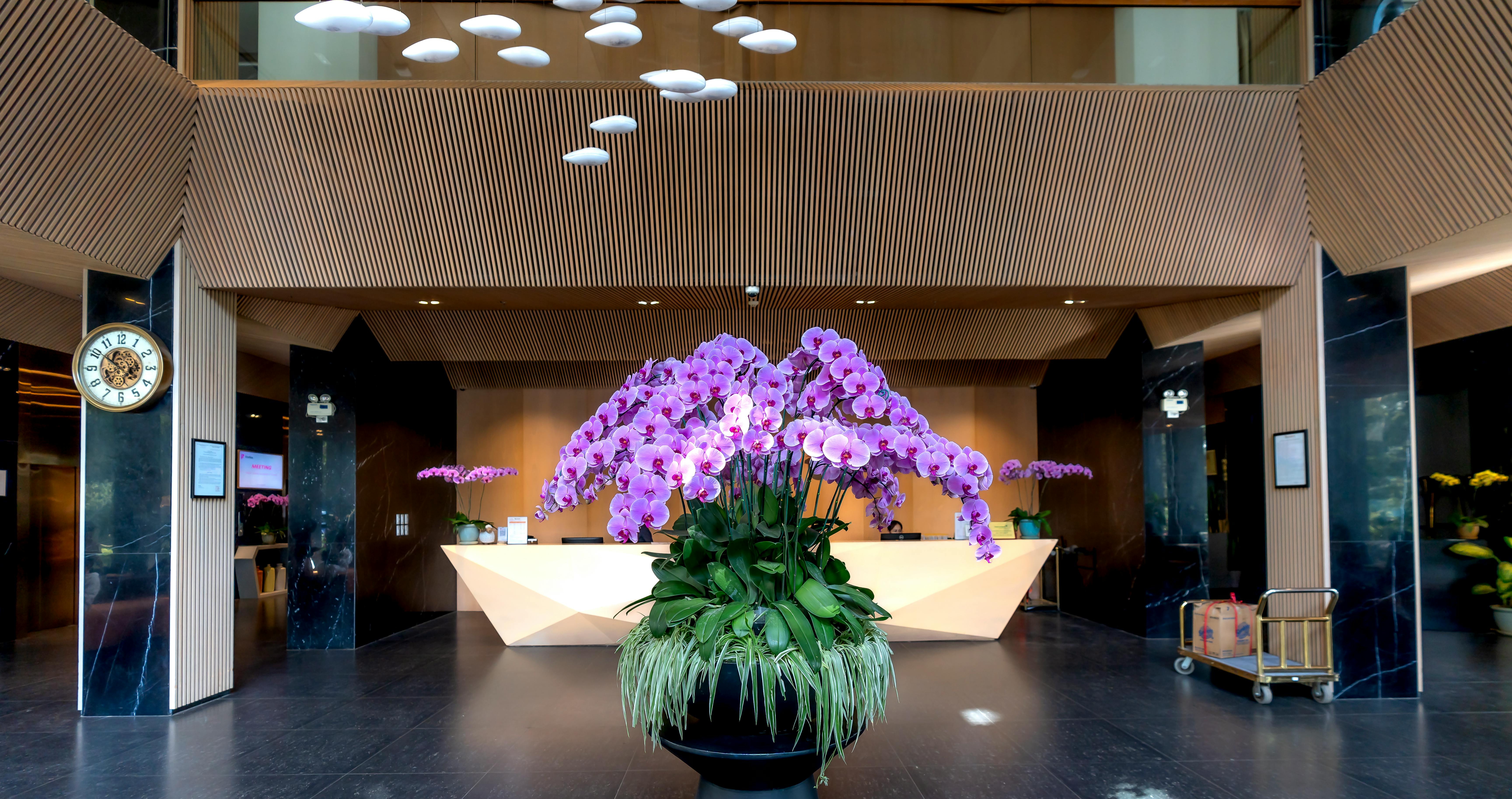 El vestíbulo de un hotel | Fuente: Pexels