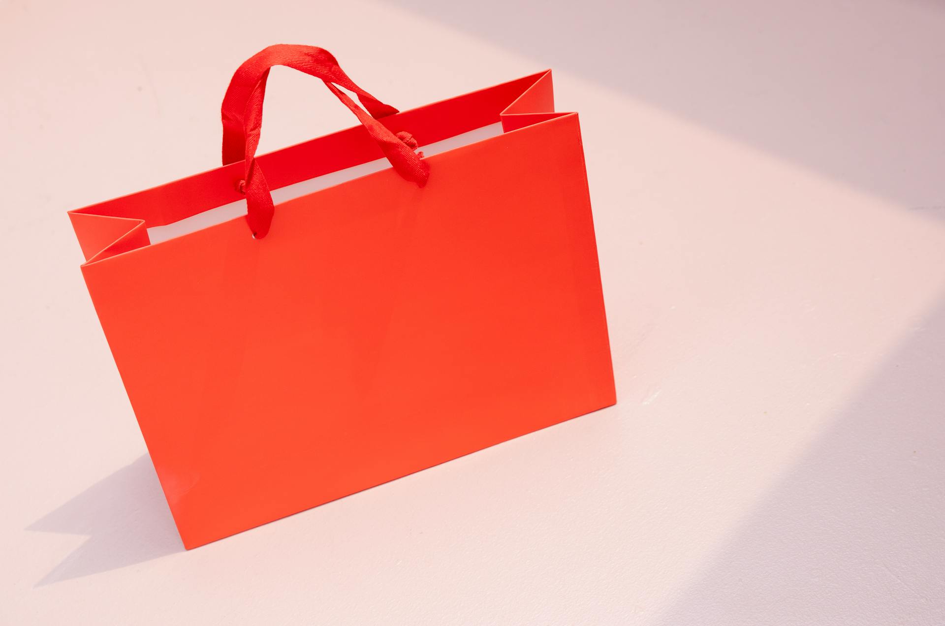 Una bolsa de regalo | Fuente: Pexels