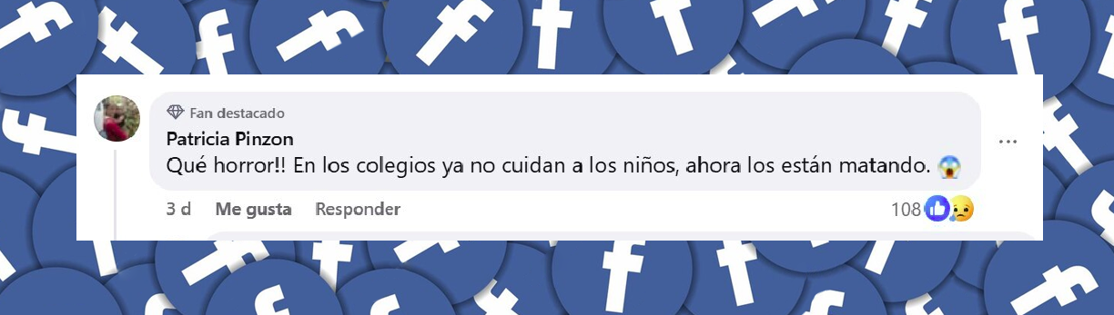 Comentario de una usuaria de redes sociales: "¡Qué horror! En los colegios ya no cuidan a los niños, ahora los están matando". | Foto: Facebook.com/Bluradio