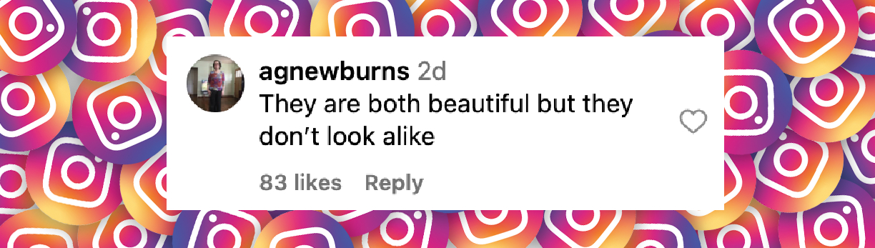 Comentario de un internauta sobre la aparición de Heidi y Leni Klum en Nueva York en mayo de 2025 | Fuente: Instagram/people